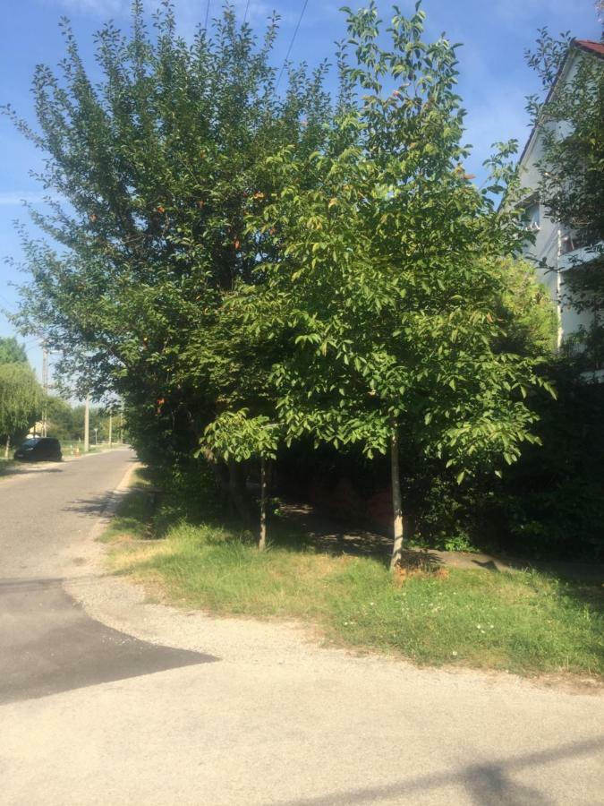Apartman-Donau Tát Eksteriør billede